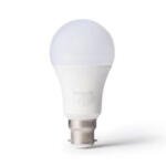 LED Bulbs B22